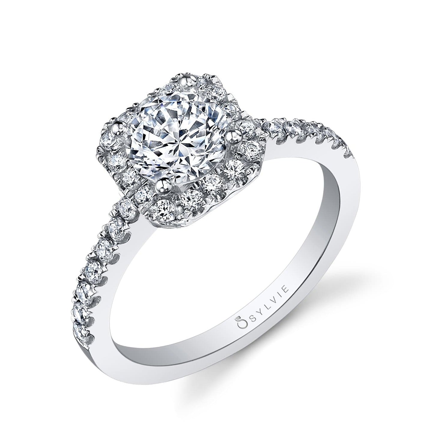 SY99941.jpg (4781521240108)