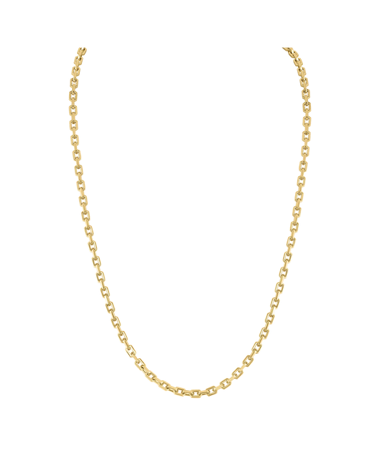 Yellow Stainless Steel Icon Collection Mens Necklace
